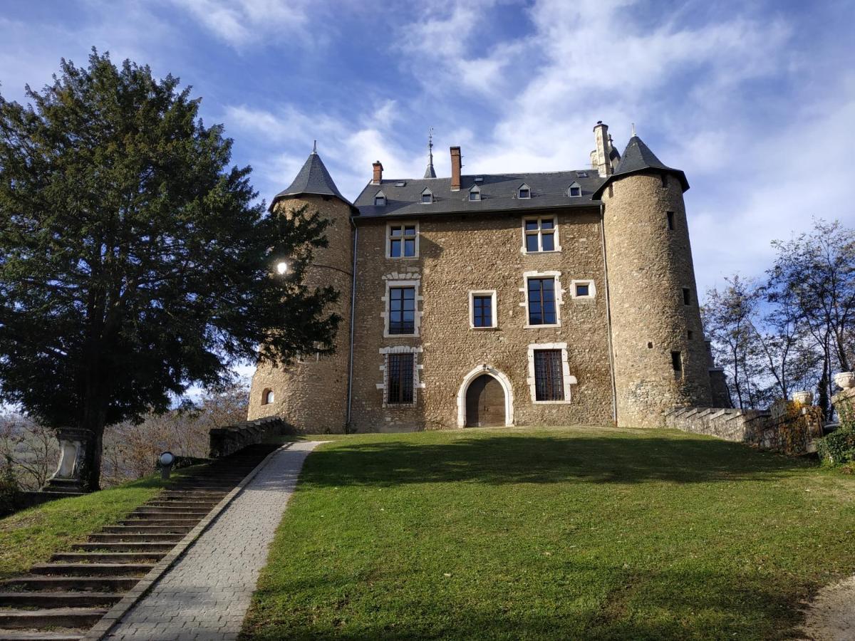 Appartement Chateau Uriage-Chamrousse Saint-Martin-dʼUriage Zewnętrze zdjęcie