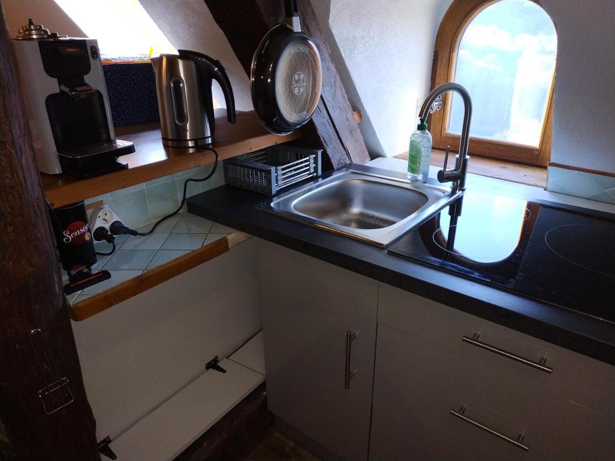 Appartement Chateau Uriage-Chamrousse Saint-Martin-dʼUriage Zewnętrze zdjęcie